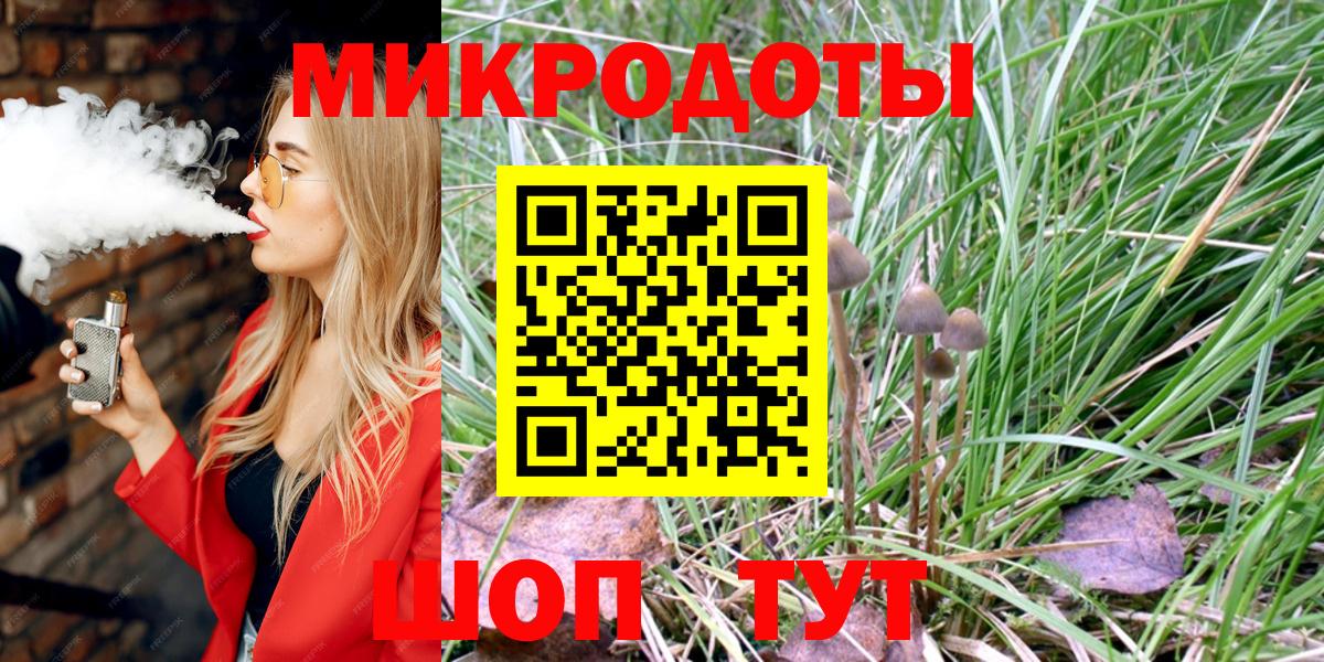 Псилоцибиновые грибы Psilocybine cubensis Уссурийск