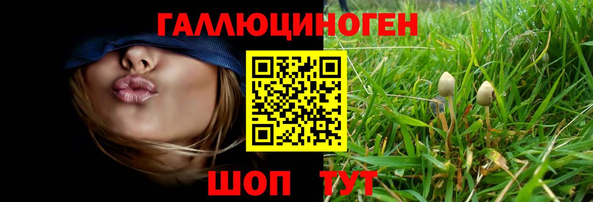 Уссурийск  Псилоцибиновые грибы Psilocybine cubensis  Вход с VPN 